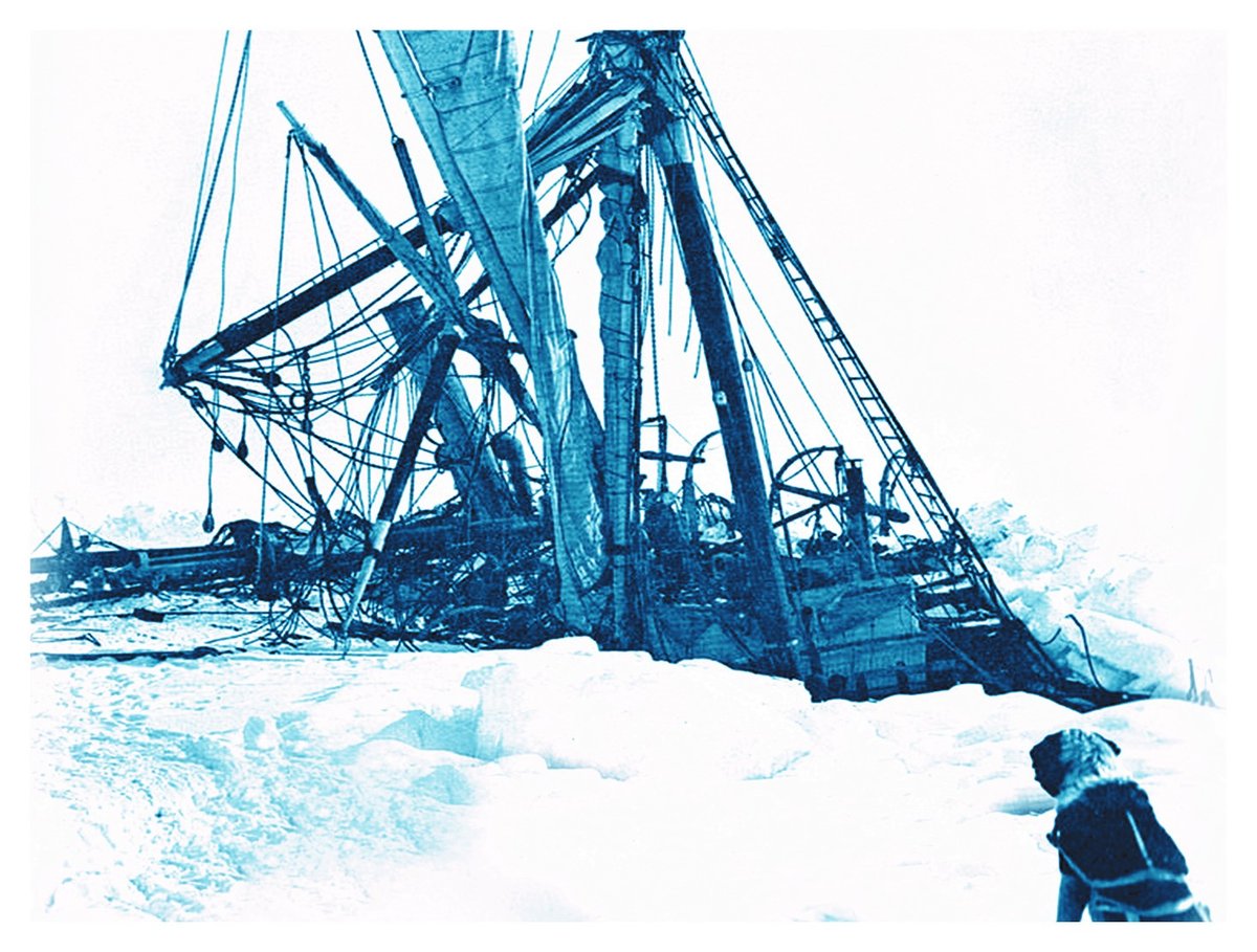 ParkTheatre's tweet image. We're running out of £14.50 tickets for the previews of Shackleton and His Stowaway. Once they're gone, they're absolutely (most assuredly) gone ↓

parktheatre.co.uk/whats-on/shack…