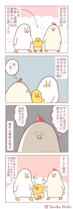 裏側を知ったものの見かけるとやっぱり微笑ましい#鶏さんの絵日記 