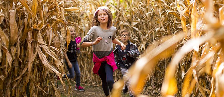 Autumn’s Arrival: Sun Safety Reminder

Though the calendar may tell us it’s still summer, the reality is that the sunniest season is starting to wind down like an old clock. Click here buff.ly/2KirXP2