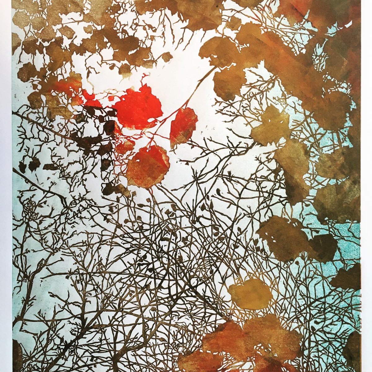 susenoble's tweet photo. Messing on with trial proofs trying to decide which versions I’m going to print in the edition... 🤔
#saltburnprintmaker
#somanyoptions
#linocutprint
#limitededition
#multiblockprint
#lookingupthroughtheleaves
#lookingup
#komorebi
#wipwednesday @ukprintmakers
#get_imprinted https://t.co/xOS27hl5d9