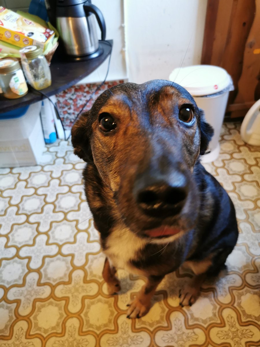 Kann ich auch Döner haben, bitte!