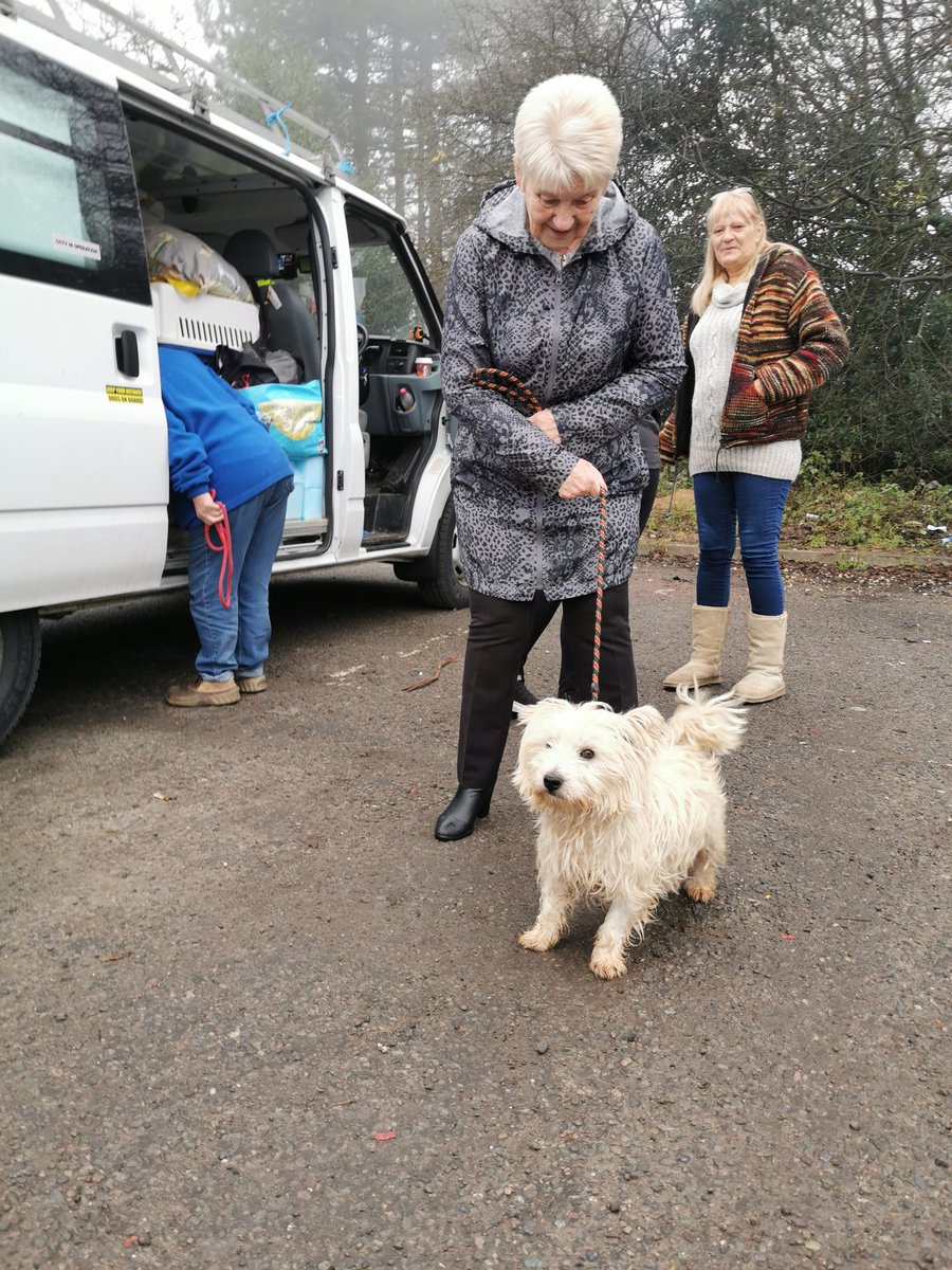 dogbus999's tweet photo. Be happy little one's, your new life has started 🐾🐾❤️ Thankyou for supporting the #dogbus and helping us help the most precious animals
#teamdogbus #romaniadogs #newlife https://t.co/7W6VZd8XT9