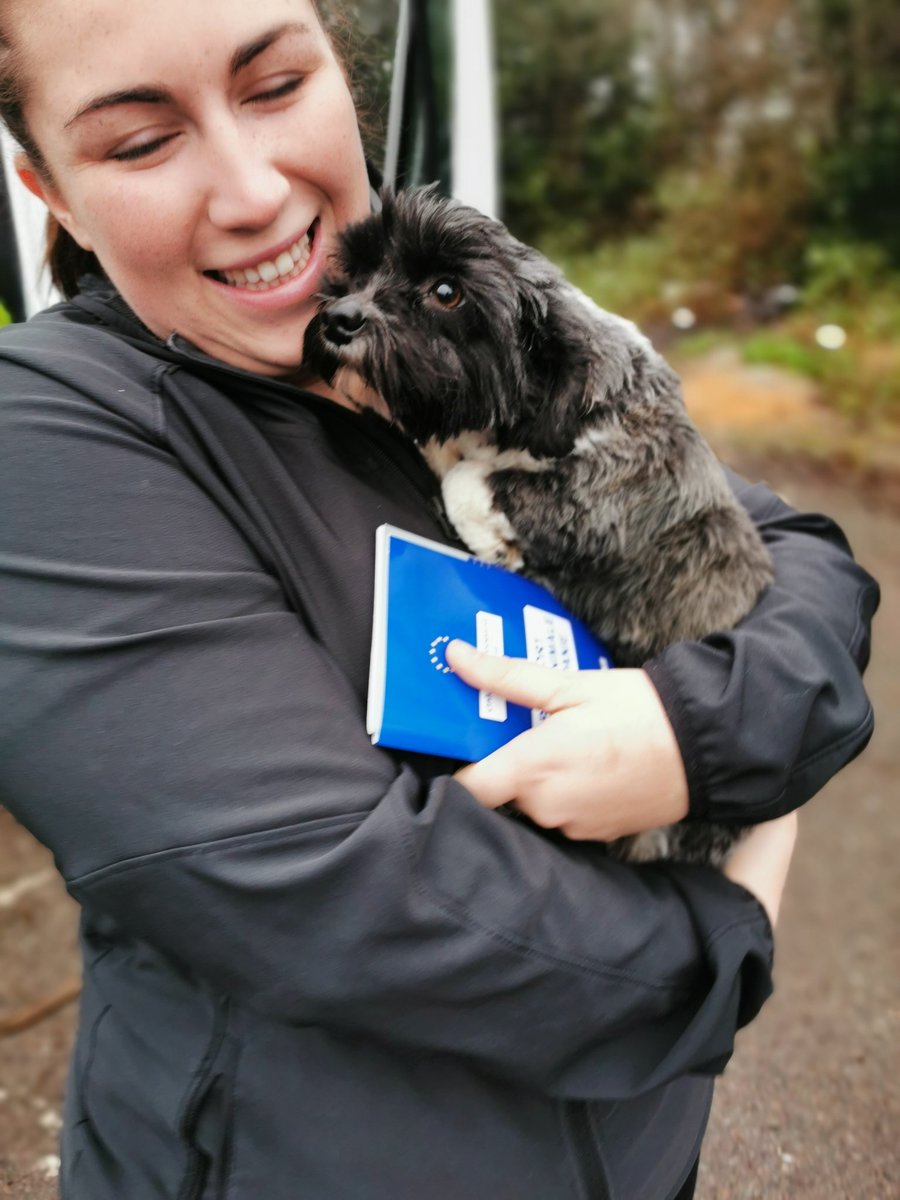 dogbus999's tweet photo. Be happy little one's, your new life has started 🐾🐾❤️ Thankyou for supporting the #dogbus and helping us help the most precious animals
#teamdogbus #romaniadogs #newlife https://t.co/7W6VZd8XT9