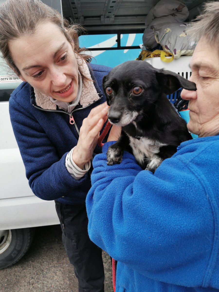 dogbus999's tweet photo. Be happy little one's, your new life has started 🐾🐾❤️ Thankyou for supporting the #dogbus and helping us help the most precious animals
#teamdogbus #romaniadogs #newlife https://t.co/7W6VZd8XT9