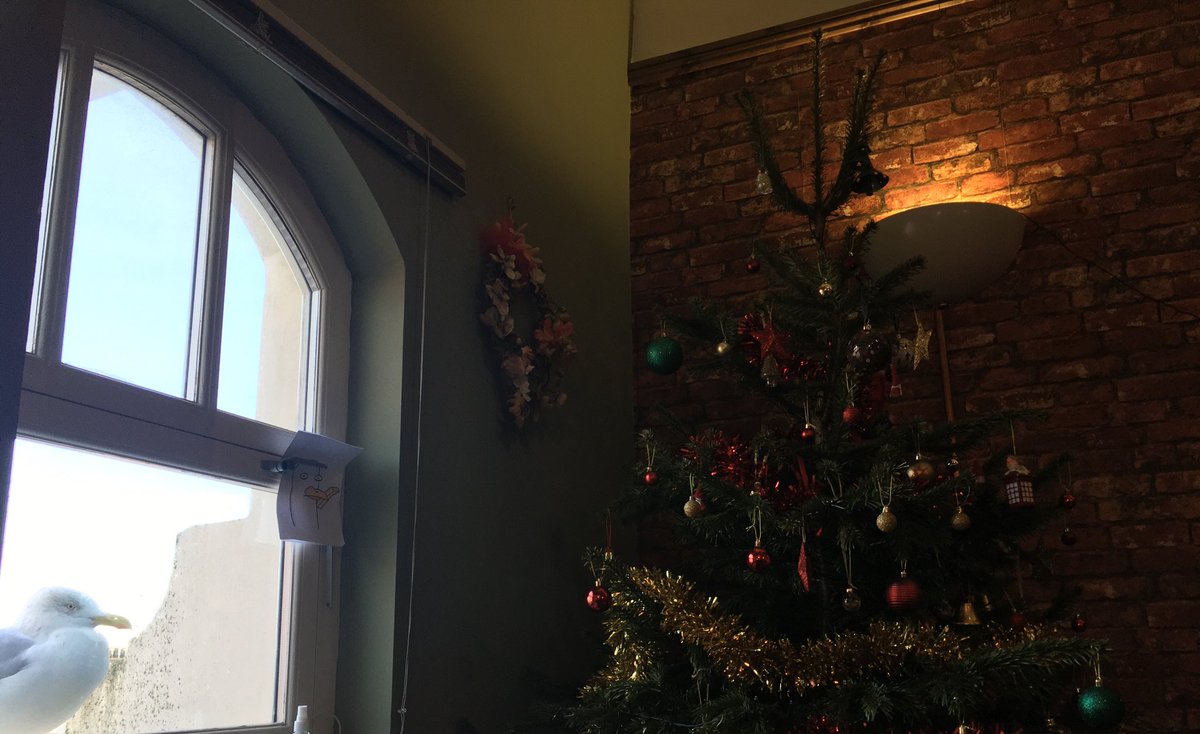 Henrick_Seagull's tweet photo. What is this big sparkly thing? Got so many colours it hurts my eyes! #seagull #Christmas #ChristmasTree https://t.co/jIui0mrXFS