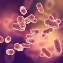 zoologicalscinz's tweet photo. Gum Disease Could Drive #Alzheimers Disease

An #enzyme of the bacteria Porphyromonas gingivalis has been found in the #brains of patients with the #disorder and causes neurodegeneration in mice.

Visit: https://t.co/DT2EbFCC88

#Immunology #Frankfurt #Germany #microbiology #2k19 https://t.co/txQ4zJDGN5