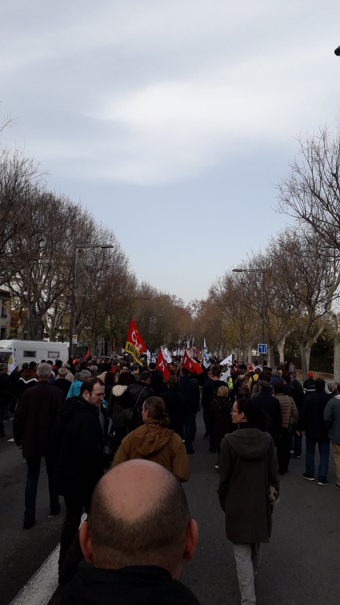 MJCF66's tweet photo. La mobilisation ne faiblit pas 📢
Hier, 12 000 personnes étaient présentes dans les rues de Perpignan contre la réforme des retraites.

#grevedu17decembre https://t.co/CoNZaQFZSo