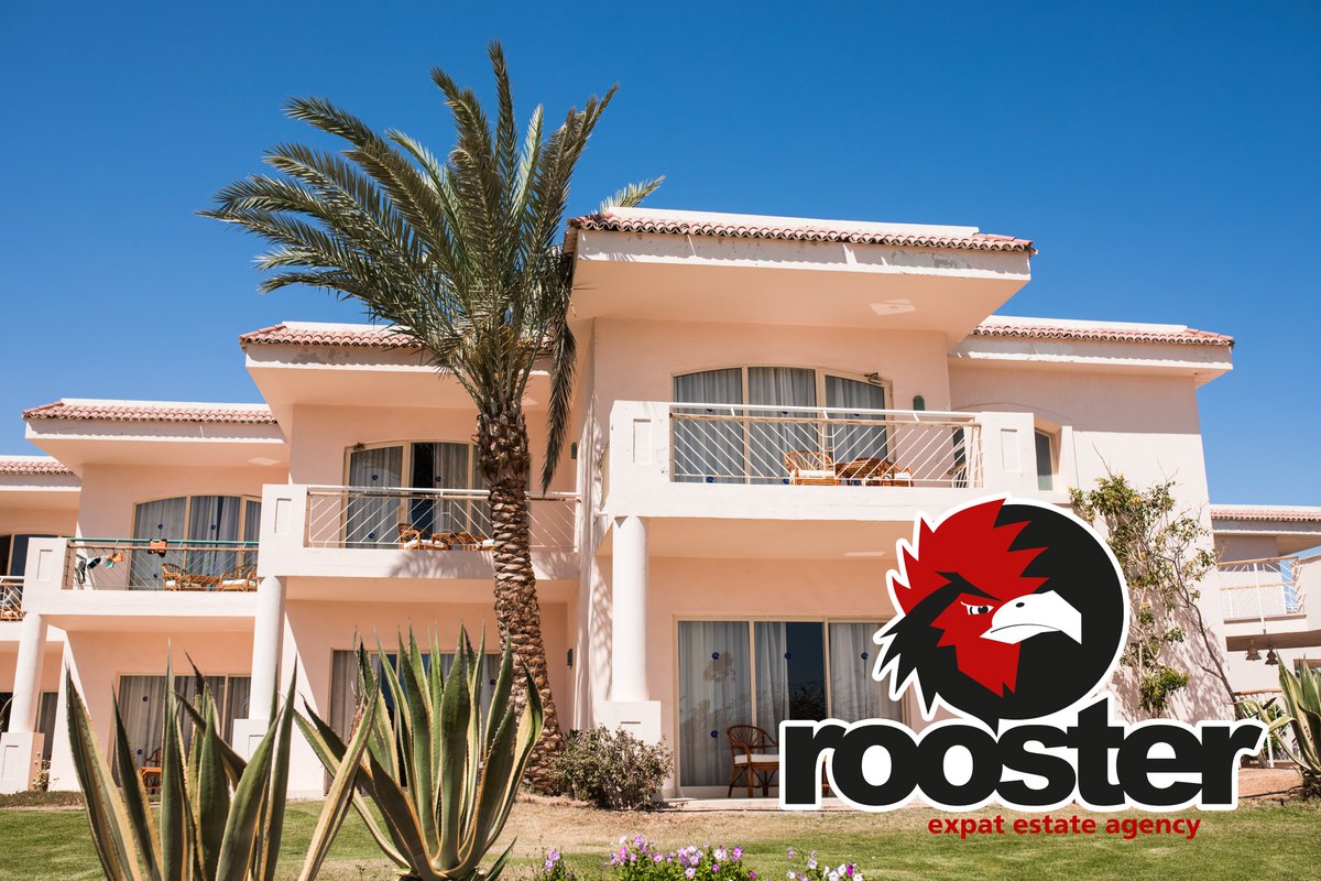rooster.es tweet media