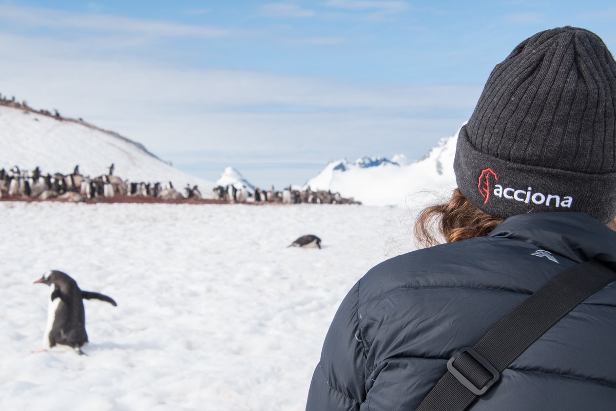 ACCIONA (English) tweet media