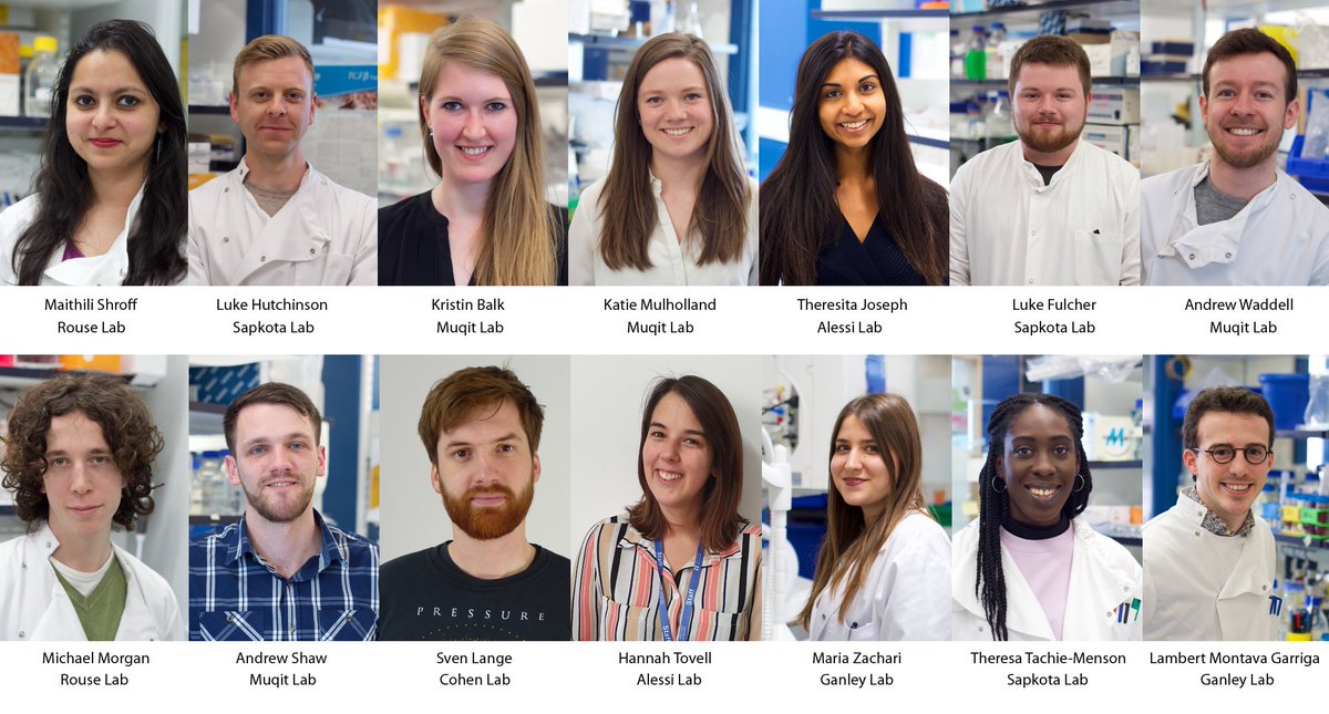 mrcppu's tweet photo. Bumper year for MRC PPU PhD graduations https://t.co/ygpb26WLY5 #PhDlife https://t.co/EaOzj1n8WV