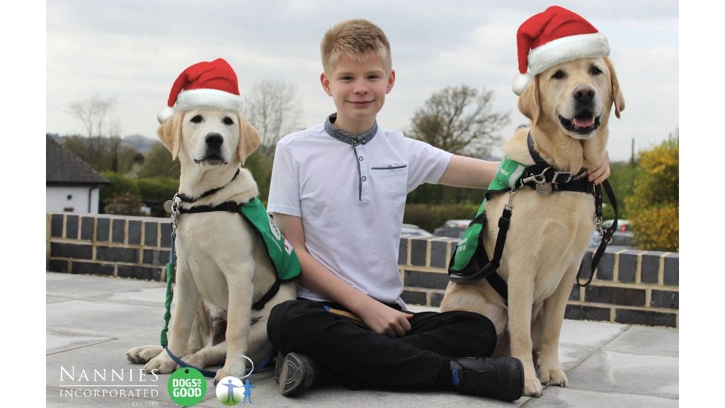 NanniesInc's tweet photo. It’s (almost) Christmas and we are asking our friends and associates to give generously to the incredible charity @DogsForGoodUK 

They explore ways that dogs can help children with autism and disabilities to overcome challenges in their day to day lives.

https://t.co/ku3pgCIPBJ https://t.co/5E4zbvrWu8