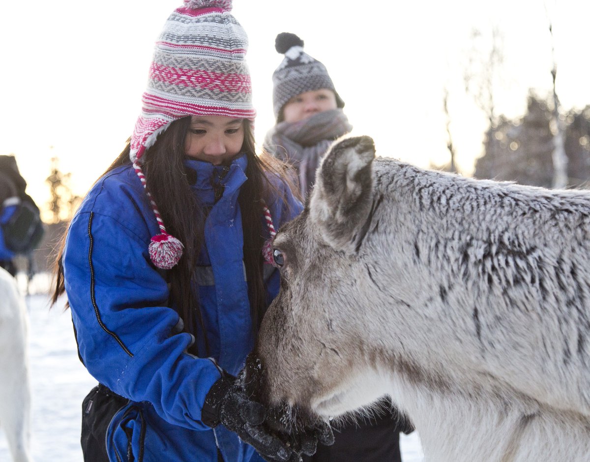 Activity_Travel's tweet photo. Don't let #Christmas be the end of your family's winter adventures! ❄️
Escape to #Lapland in February #halfterm for snow-covered scenery, iconic #Arctic activities & plenty of #familyfun! >>
©A Oberlin
#halftermfun #halftermholiday #halftermadventures #halfterminspiration https://t.co/OhYD1Ts07V