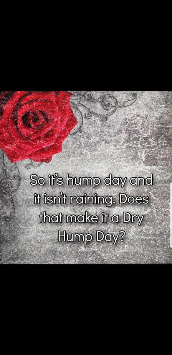 TheKindergarte3's tweet photo. It’s never a good hump if it’s dry #Moist #NotDry #HumpDay #HappyHumpDay #Dating #DatingLife #FML #DatingProblems #DatingSucks #Single #SingleAF #SwipedOut #TheKindergartenEffect #TKE #Gwiris #Besties #OnlineDaters #Book #NonFiction #BookPublisher #BookSearchingForAHome #FollowUs https://t.co/3yhPGDNAMy