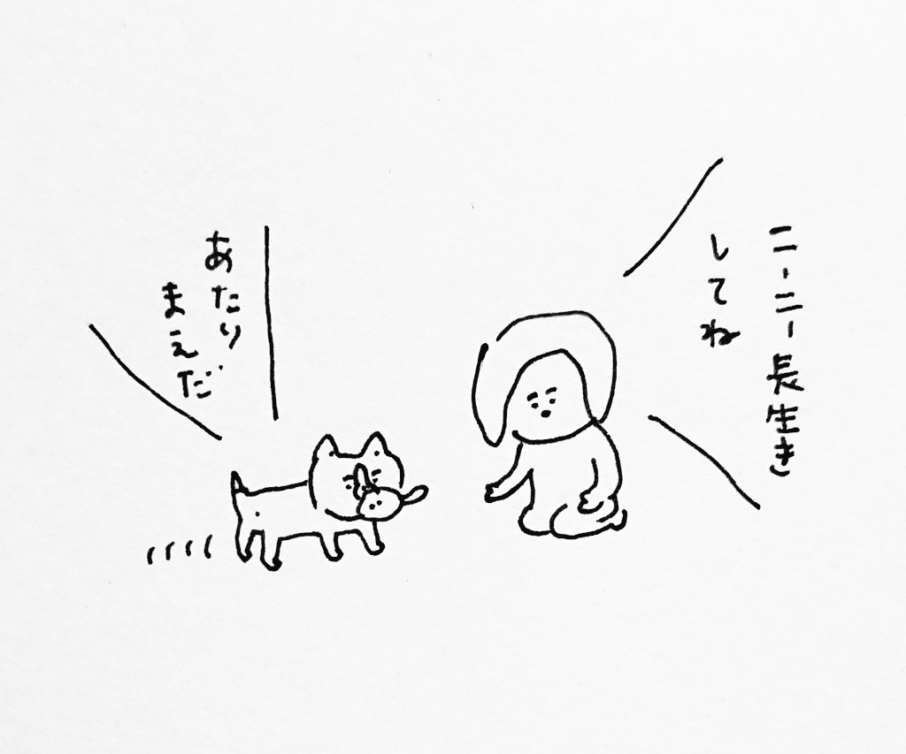 毎日考えていること 