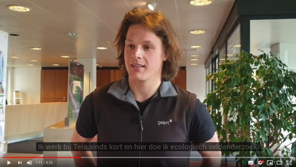 Ben je net of bijna afgestudeerd ecoloog? Zin in een nieuwe uitdaging in het nieuwe jaar? Kom het komende veldseizoen werken voor Teia. We maken graag kennis met je. Hier vast een voorproefje, ter inspiratie: binnenkijken bij Teia. 
youtube.com/watch?v=zONOkJ…