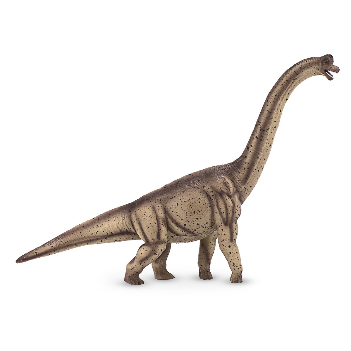 mojo_fun's tweet photo. 🦎 Unlike many other dinosaurs, Brachiosaurus was able to keep its body temperature stable and high. This is because scientists now belive them to have been warm-blooded animals. This warm blooded giant will be joining the Mojo Prehisotric Range in 2020 🦎 https://t.co/FGJPAblsbp
