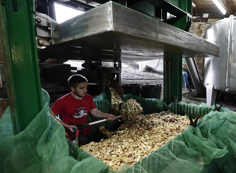 La <a href="/UNavarra/">UPNA - Universidad</a> llevará a cabo un estudio orientado a aumentar la productividad de los manzanos guipuzcoanos destinados a la sidra. 

Te lo contamos: bit.ly/2EwDCJc

"Mejorar la productividad de los manzanos de sidra"