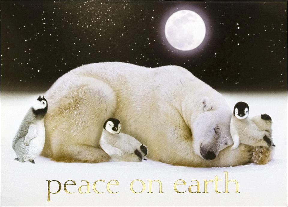 AriaaJaeger's tweet photo. "When man makes peace profitable there will be peace." Ariaa Jaeger #Sagewisdom #WednesdayWisdom #PeaceonEarth #Goodwilltowardall #quoteoftheday https://t.co/Eae2IaX5FJ