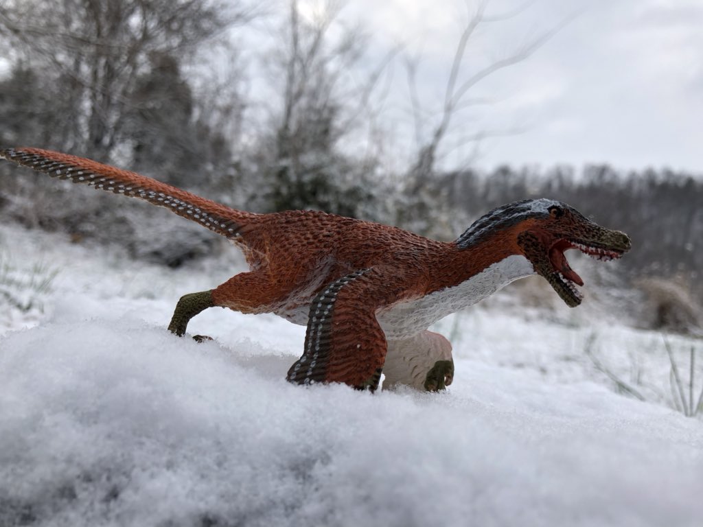 safari ltd dinosaurs 2019