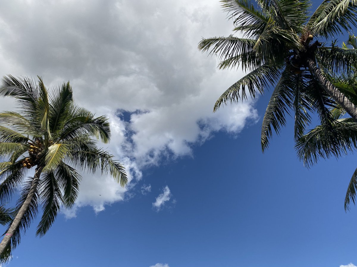 yk19_10's tweet photo. school trip in Hawaii🌴🌺 https://t.co/HAIQvSEJt9