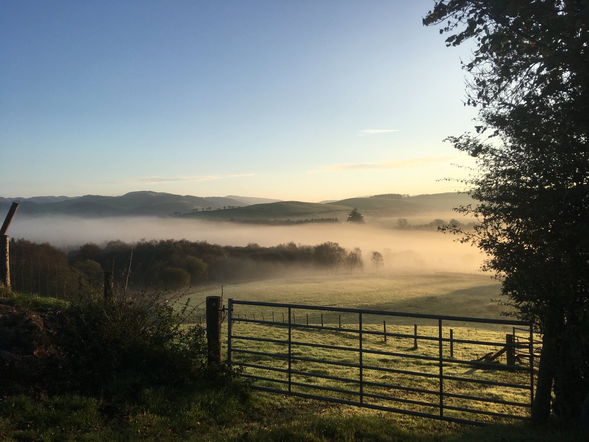 birchillaccess's tweet photo. #BirchillAccess wishing everyone a Merry Christmas.  Looking forward to helping more clients in 2020 with their #publicrightsofway and #landmanagement issues.  E-mail us on claire@birchillaccess.co.uk for an informal chat or call 01970890491. https://t.co/pg1sakfdcI
