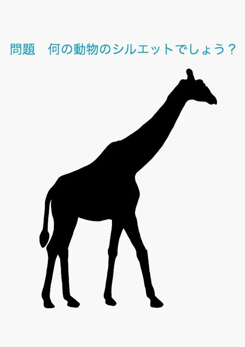 シルエットクイズ8 