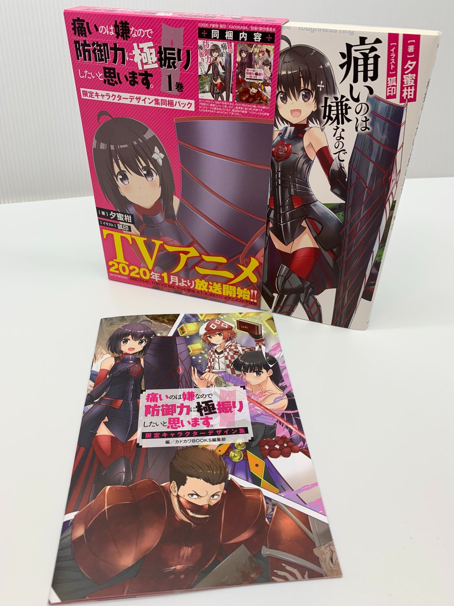 TVアニメ「痛いのは嫌なので防御力に極振りしたいと思います