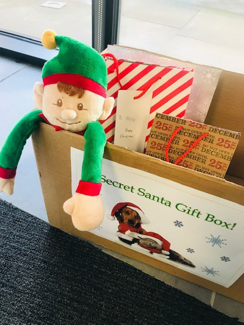 PotterReesDolan's tweet photo. #ElfInTheOffice has been helping out with the phones and handing out our #secretsanta presents today! 📞☎️ #HelpfulElf @SIA_CaseMan https://t.co/COvUcn0jQO
