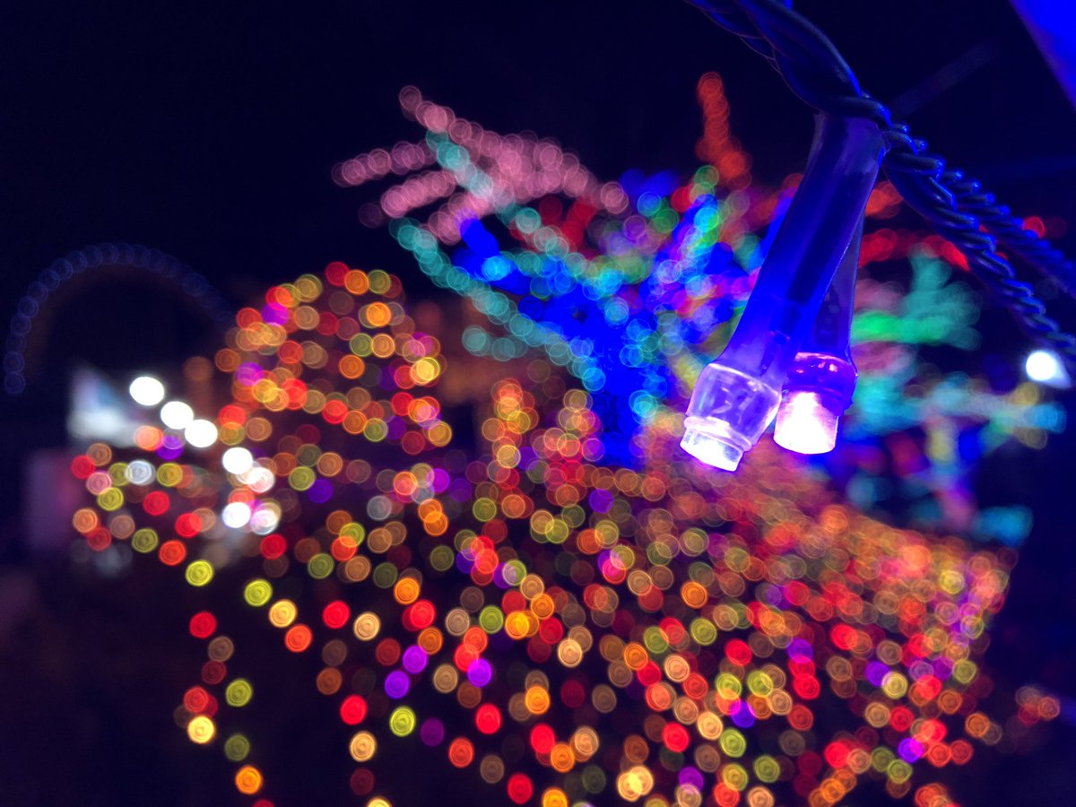 bot43832142's tweet photo. #ジュエルミフォトコン2019 https://t.co/SUJ714Krve