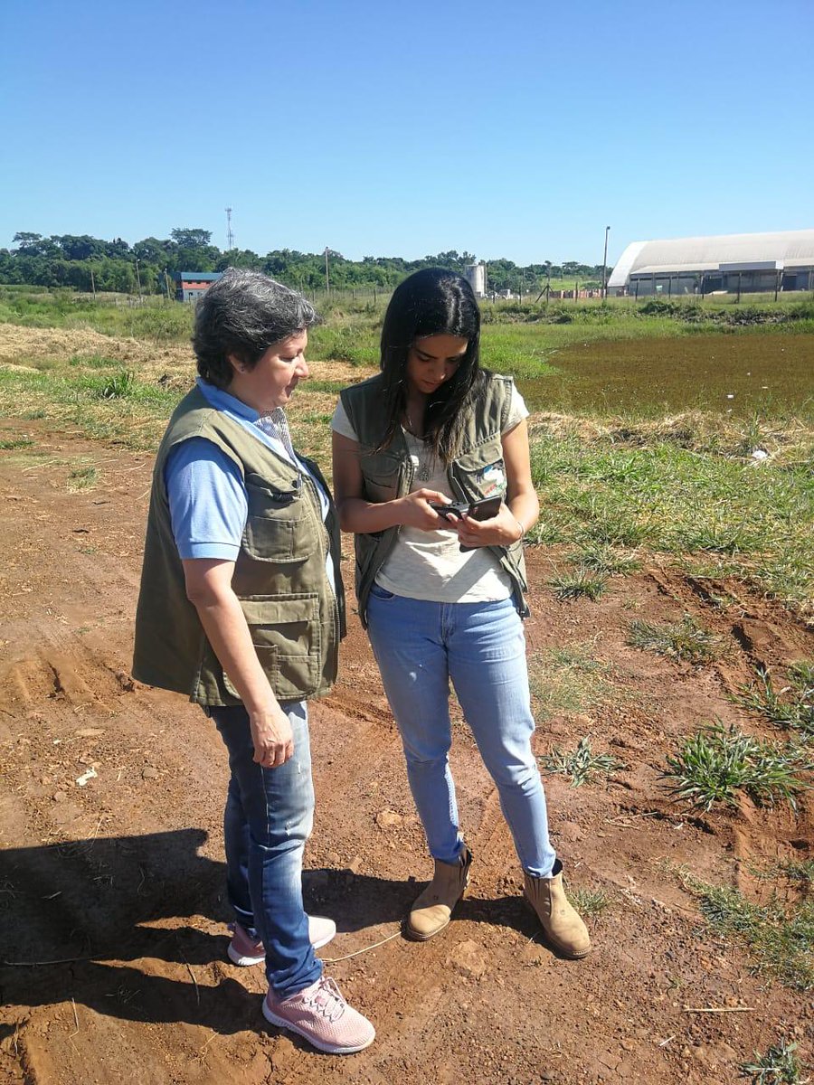 Servicio Nacional de Catastro tweet media