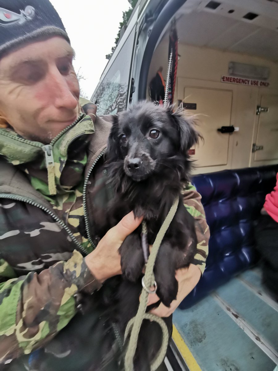 dogbus999's tweet photo. Be happy everyone. Welcome to your new life with your new loving families ❤️❤️ #adoptdontshop #rescue #newlife #romaniadogs #dogbus #teamdogbus https://t.co/PTS3gTUSYx
