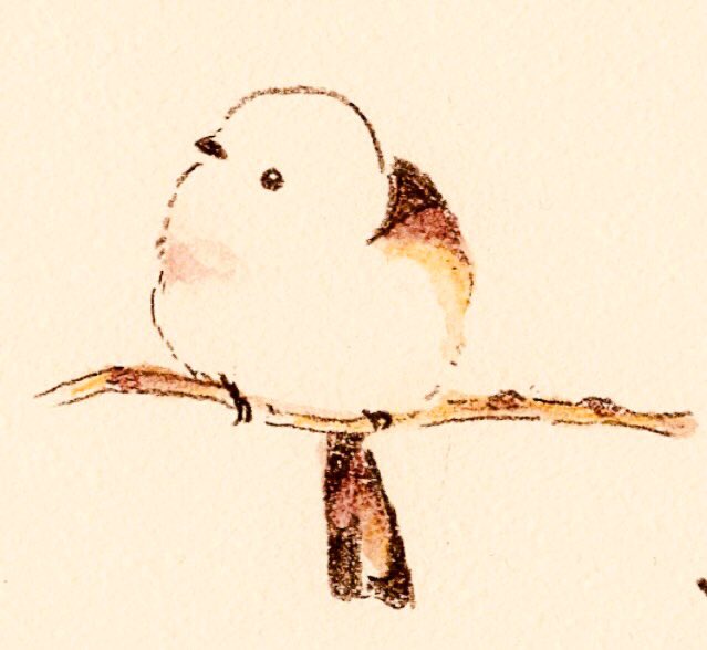 #冬の創作クラスタフォロー祭
#イラスト好きさんと繋がりたい 
#絵描きさんと繋がりたい 
小鳥ばかり描いてます。❤️&RTまわります!宜しければ是非に…? 