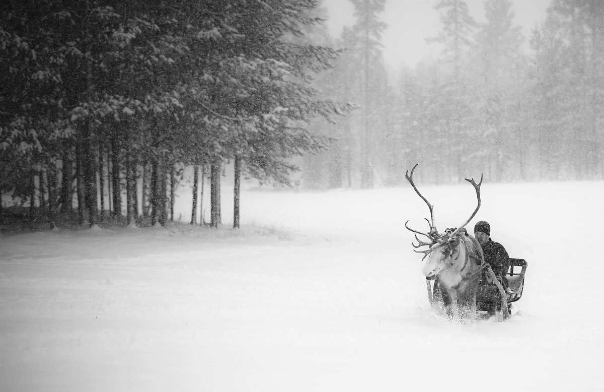 MINDER LEVERDAGEN ROND KERST VOOR ONZE HORECAKLANTEN
Vooral buiten de Randstad is het nu opletten: aanstaande vrijdagochtend 20/12 (voor 12 uur) moeten de leveringen vóór kerst zijn besteld. Bekijk hier de uiterlijke bestel- en levertijden per gebied: zakelijk.anfors-imperial.com/nieuws/feestda…