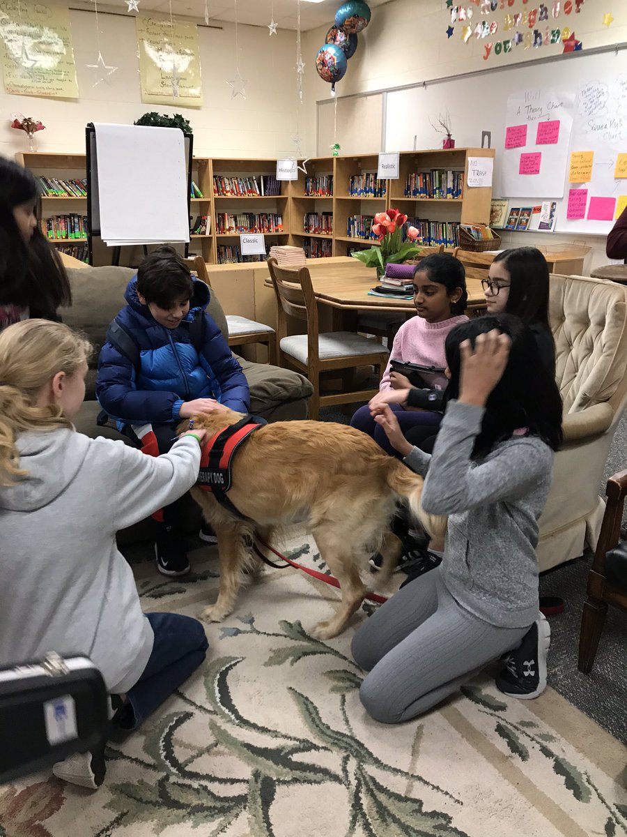 BeachReader100's tweet photo. Prince, the Therapy Dog, makes a visit to Room 100. #TheGoldenPrince https://t.co/Iq87tY0MxY