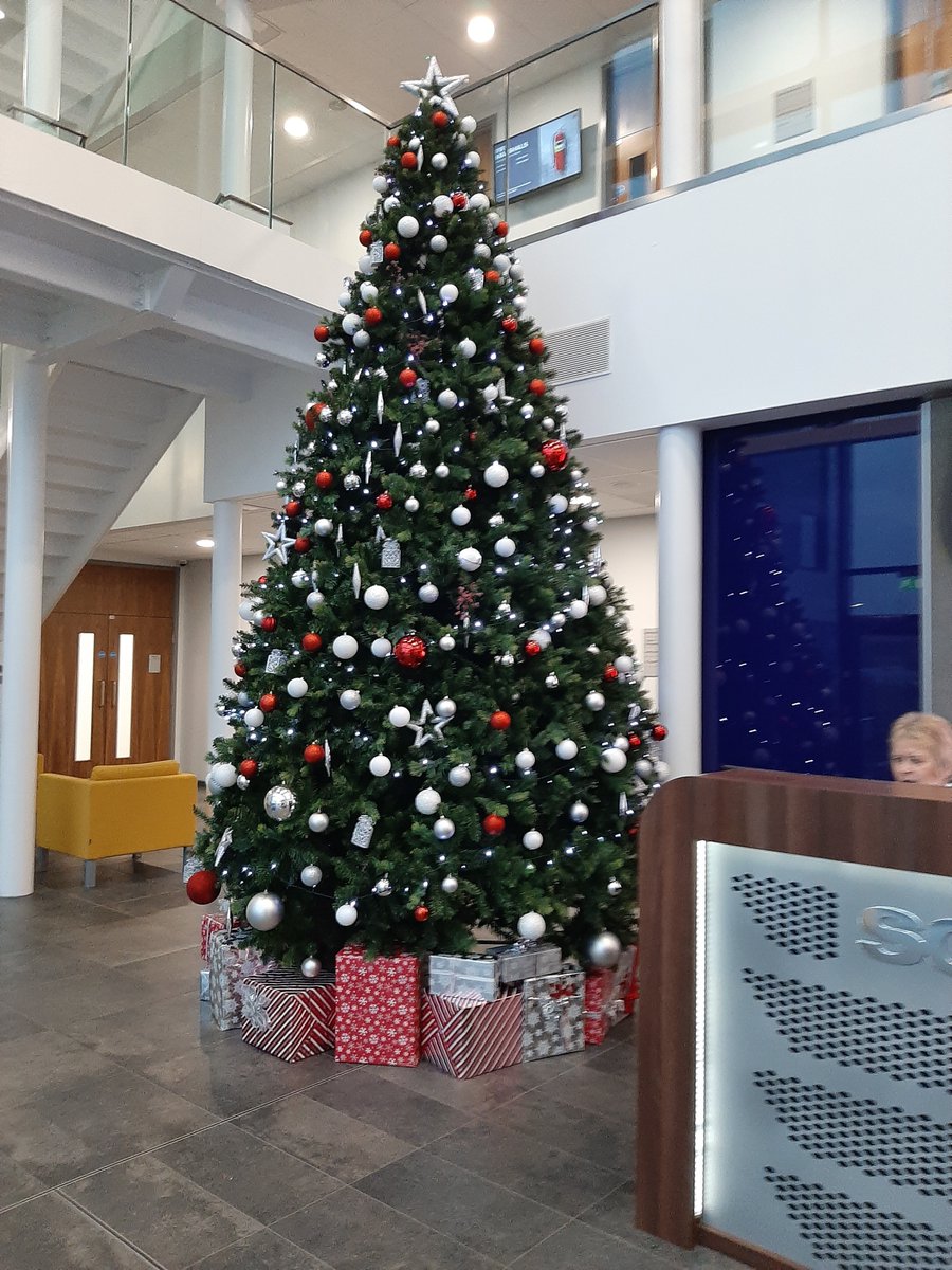 Bamboo_Agency's tweet photo. Planning for 2020 at @ScaniaGroup Head Office on Tuesday. 🎄🎄🎄

Serious Christmas tree envy! 

#Scania #Christmas #Christmastree #Marketing https://t.co/UOAf0tT35c