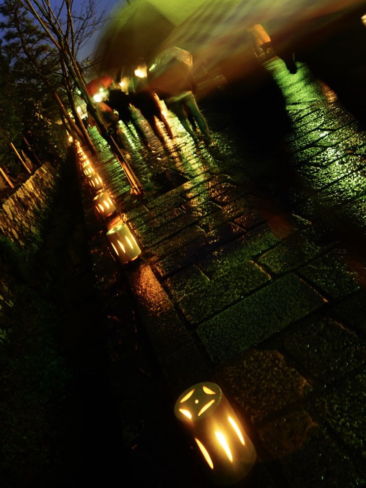 kimustagram7's tweet photo. 雨の中の嵐山
#ファインダー超しの私の世界 
#カメラ好きな人と繋がりたい 
#写真好きな人と繋がりたい 
#写真
#紅葉
#夜景
#picture
#photo 
#嵐山
#花灯路 
#京都
#kyoto
#α7ii
#SonyAlpha 
#sony
#傘 https://t.co/lrXo9ZWa0m