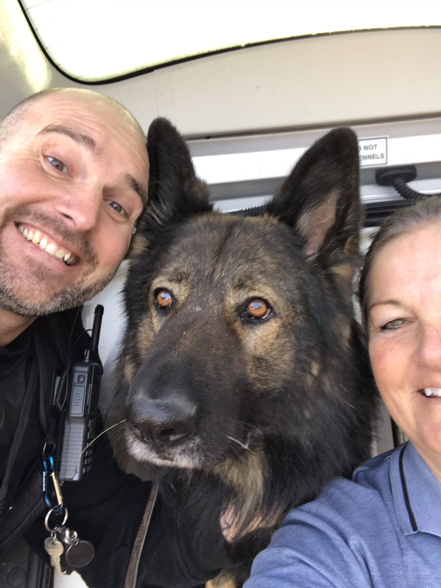 NicNic711's tweet photo. Look who came to see me! 🥰 #numberonepup #PDComet #bestvisitorsever #proud #bignose #essexpolice #puppywalkerandproud thanks @8_barney and @KellyBarnard10 for my present 🥰🐾🐾 https://t.co/DfbLZfe7o2