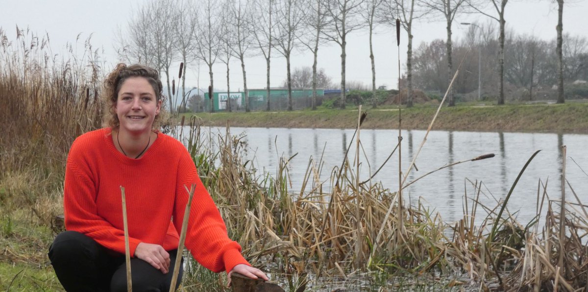 "Ik heb geleerd om uit mijn comfortzone te stappen". Lees het interview met 'Teiaan' Fionne Kiggen, die vleermuis- en gierzwaluwonderzoek deed in Zuid-Holland.

teia.nl/flexibele-schi…