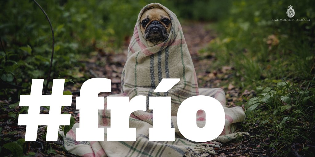 RAEinforma's tweet image. #Actualidad | frío

En algunas palabras del español, la «g» intervocálica del latín se perdió:

frigĭdus &amp;gt; frío
digĭtus &amp;gt; dedo
vigilāre &amp;gt; velar

Aun así, esta «g» aún se conserva en las voces cultas correspondientes: «frígido», «dígito», «vigilar».

¿Proponen más casos?