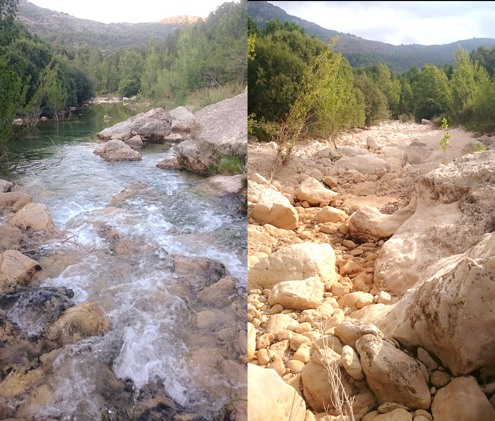 Can functional metrics based on biological traits help detect anthropogenic impacts in naturally disturbed systems like the Monlleó river? Newly published today: besjournals.onlinelibrary.wiley.com/doi/abs/10.111… @FEHMlab; <a href="/ncidpuey/">Núria Cid</a>; @nurietabonada; <a href="/mariasoriaLimno/">Maria Soria</a>; <a href="/LifeTRivers/">LIFE TRivers</a>; <a href="/paufortu/">Pau Fortuño</a>; @nprat50