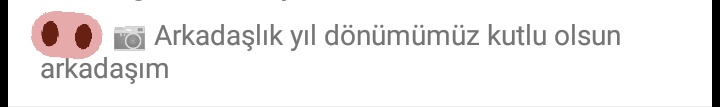 Ağzınıza sicim kardisim