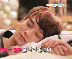 baekchen archive tweet media