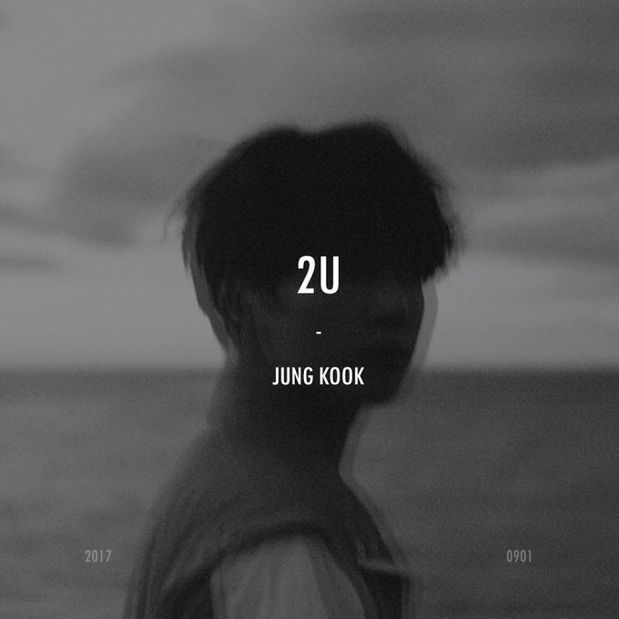 2U cover