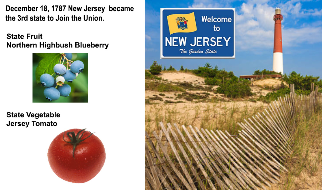 DietitianOnline's tweet photo. Happy Birthday, New Jersey! December 18, 1787, #NewJersey became the 3rd state to Join the Union. #StateFood https://t.co/41tFj8RW6Q