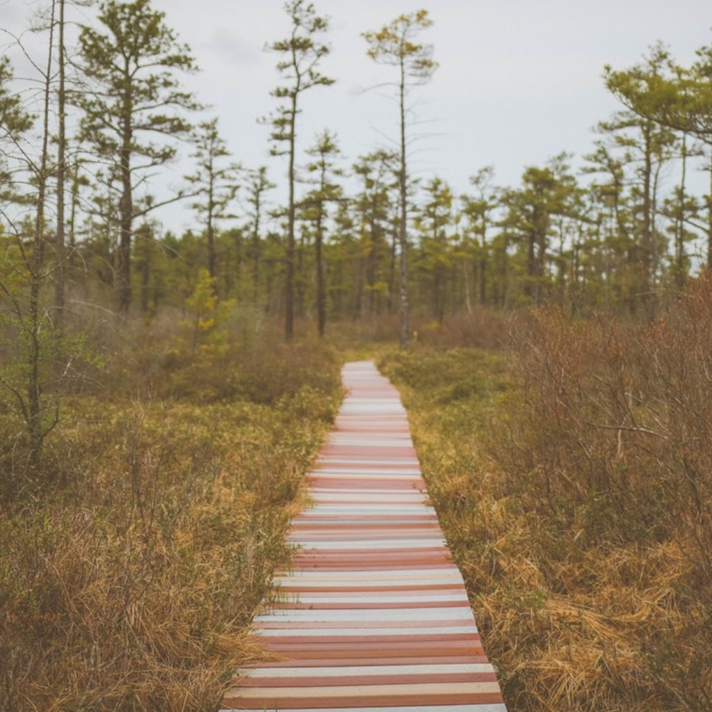 LEEF_Florida's tweet photo. Join us on our path! ๐ฃ
https://t.co/b0XAb5WRVP
#conference #workshops #leef2020 #enviroed #enviroeducators #environmentaleducation #environmentaleducators #EEinFL #natureeducation #natureeducationcenter #florida #floridaenvironment #teachers #educators #gradstudents #naturalists https://t.co/mNrqU4yRRn