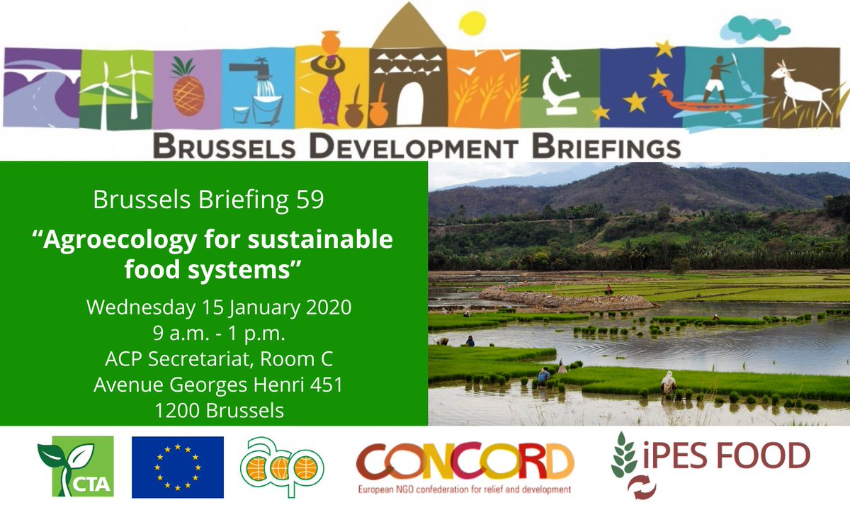 Brussels Briefings tweet media