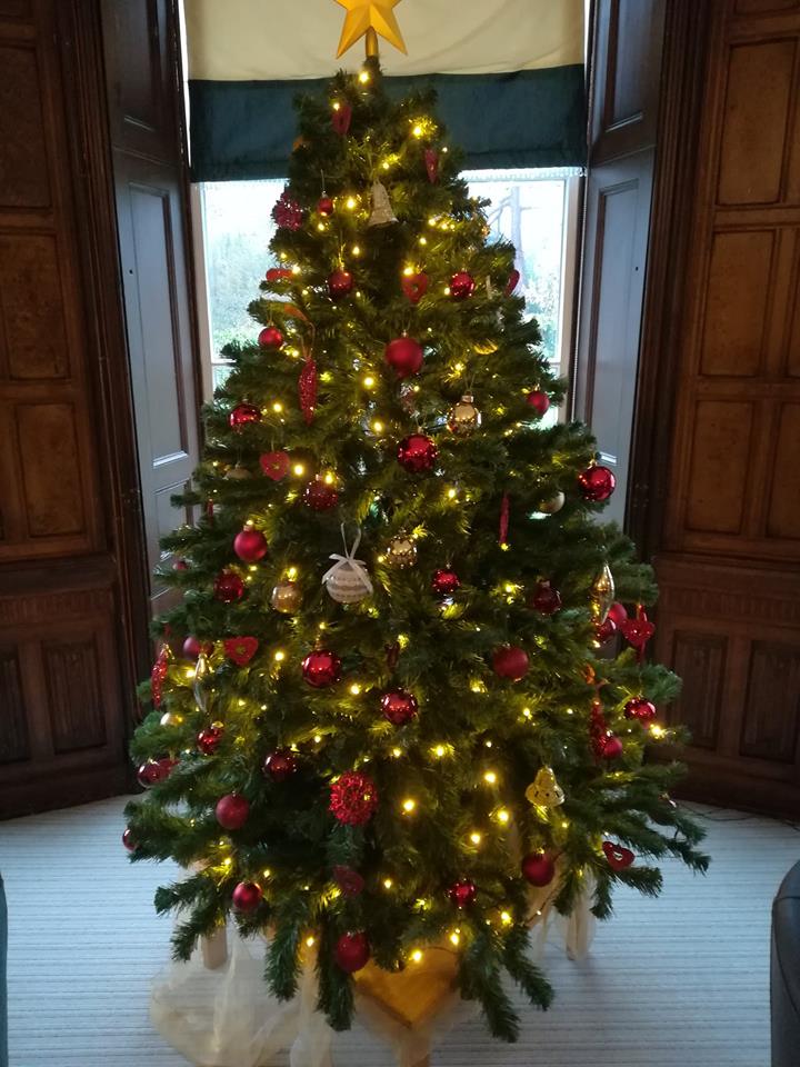 BridgeRch's tweet image. We are loving our Christmas tree this year. Now we just need Santa to bring the presents! If you would like to spend Christmas with us next year, call our booking line on 01626 866850 or take a look at our website rch.org.uk #Dawlish #holiday #visitSouthDevon