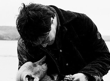 Hogwartssite's tweet photo. - Define dolor en 4 fotos
- https://t.co/rUn31PBSuo