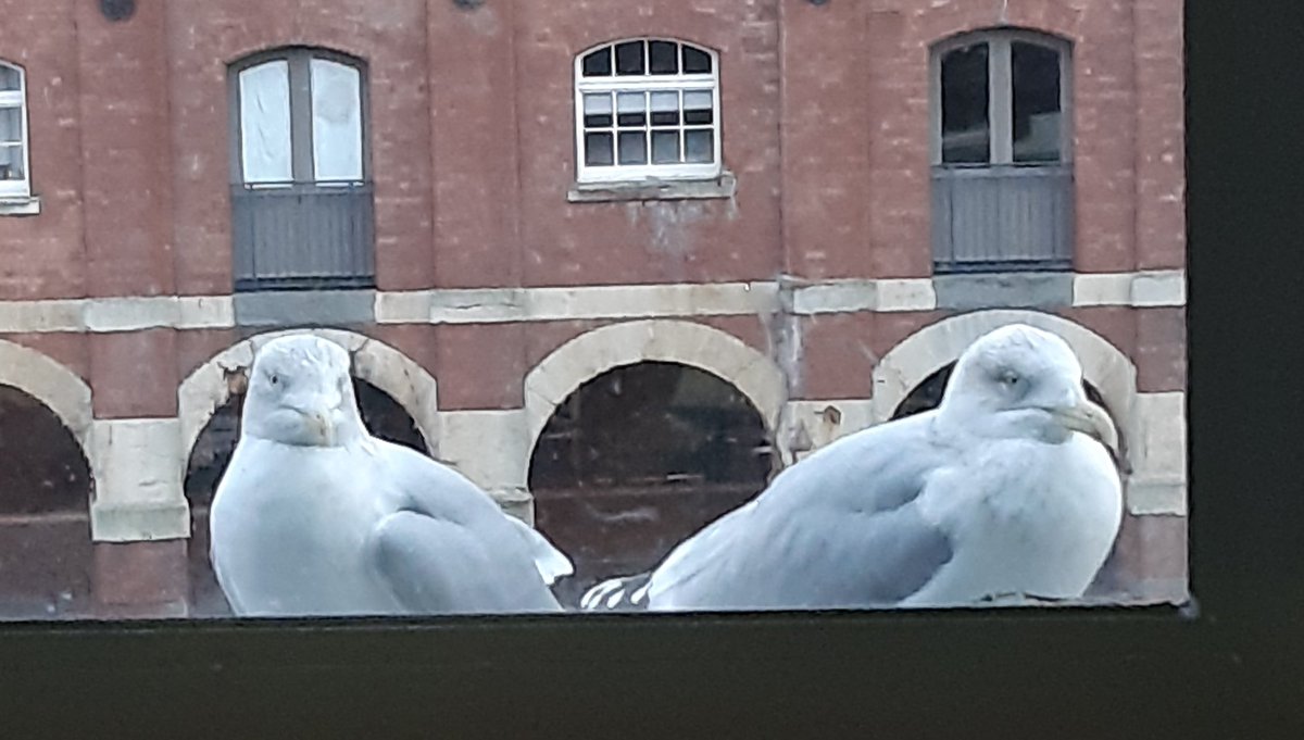 Our last Profiling session of the year went with a flourish. Great participation from our <a href="/Future_Quest_/">Future Quest</a> students of <a href="/BristolMet/">Bristol Met</a>. Profiles from <a href="/eras_ltd/">eras</a> really accurate. Even the local seagulls wanted to join in.