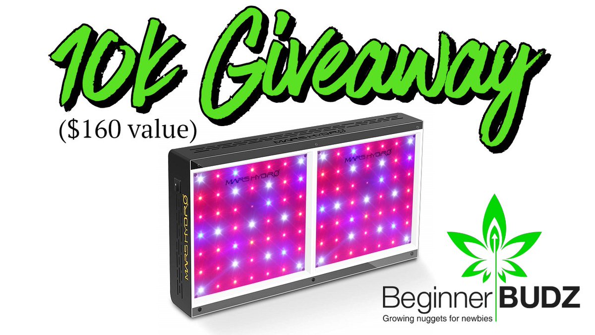 10k Giveaway: Mars Hydro ECO 600W grow light (a $160 value).

Subscribe to Beginner BUDZ on YouTube. Like and comment "We love Beginner BUDZ" under giveaway video.
Get up to three (3) more entries by doing the same on Instagram, Facebook, and Twitter (follow, like, and comment).